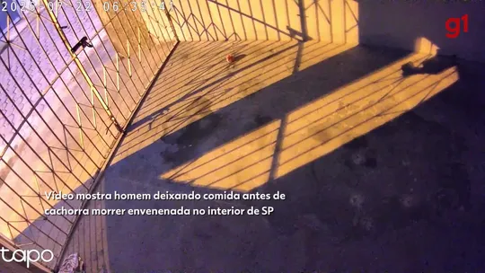 Vídeo mostra homem deixando comida antes de cachorra morrer envenenada no interior de SP